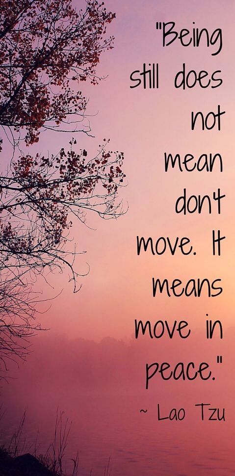 Karar vermenin bilgeliği